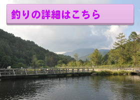 長野県南信州の釣り・フィシングスポット